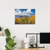 Gunnison National Forest, Colorado Poster (Thuiskantoor)