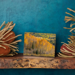 Gunnison National Forest Fotoplaat