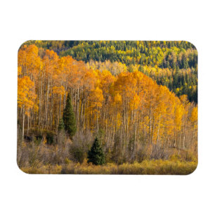 Gunnison National Forest Magneet
