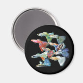 Guppies Magneet (Voorkant / Achterkant)