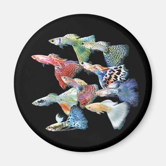 Guppies Magneet (Voorkant)
