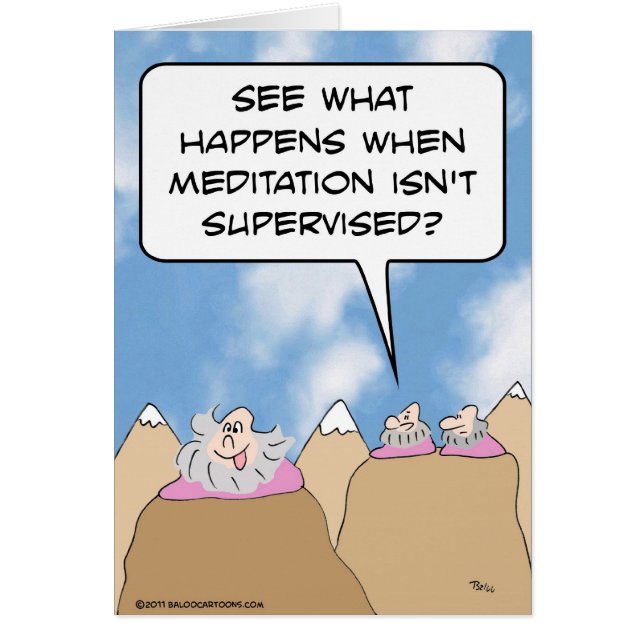 gurus meditation staat niet onder toezicht (Voorkant)
