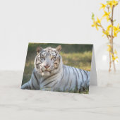 Gus - carte - accueil personnalisable (Fleur jaune)