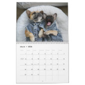 Gus Gus Dans La Ville Calendrier 2022 (Mar 2026)