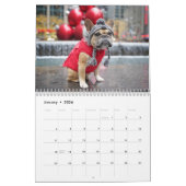 Gus Gus Dans La Ville Calendrier 2022 (Jan 2026)