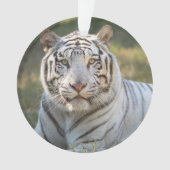 Gus - ornament (voorkant)