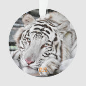 Gus - ornament (voorkant)