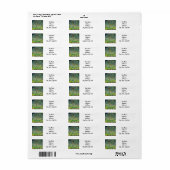 Gustav Klimt Apple Tree Etiket (Full Sheet)