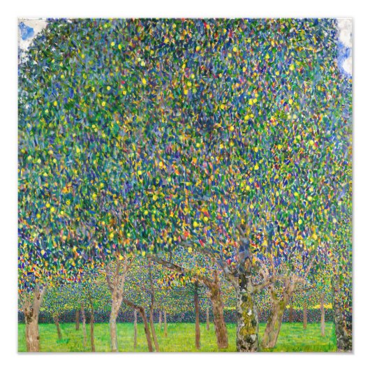Gustav Klimt - Peerboom Foto Afdruk (Voorkant)