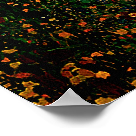 Gustav Klimt Poster Le Baiser (Coin)