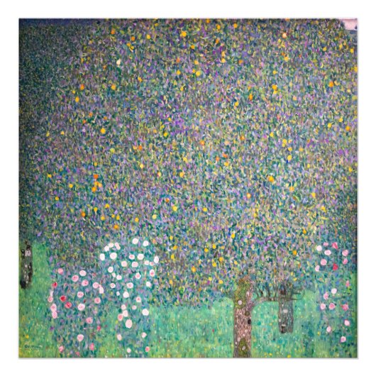 Gustav Klimt - Rozenstruiken onder de bomen Foto Afdruk (Voorkant)