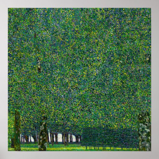 Gustav Klimt - The Park Poster (Voorkant)