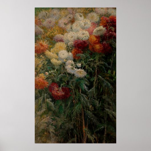 Gustave Caillebotte Chrysanthemums Poster (Voorkant)