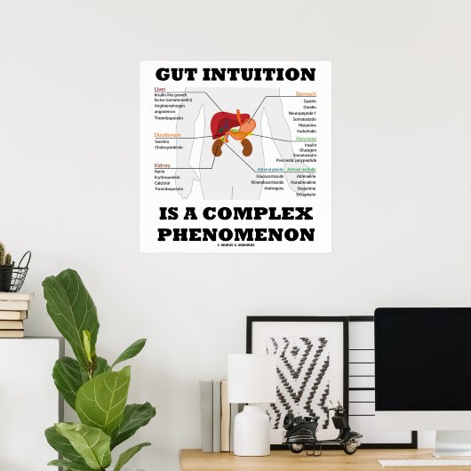 Gut-intuïtie is een complex fenomeen endocriene poster (Thuiskantoor)