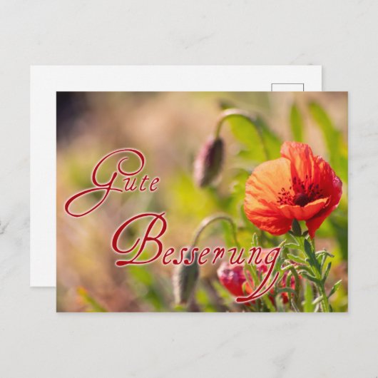 Gute Besserung für Deine lieben Menschen! Briefkaart (Voorkant / Achterkant)