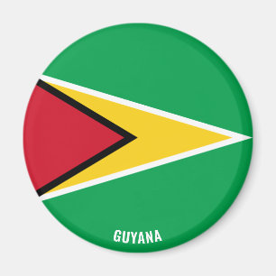 Guyana Flag Charming Patriotic Magnet Magneet