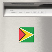 Guyana Flag Magneet (Insitu (Vaatwasser))