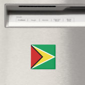 Guyana Flag Magnet Magneet (Insitu (Vaatwasser))