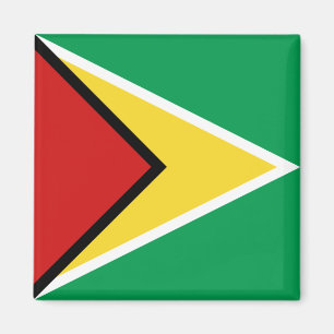 Guyana Flag Magnet Magneet