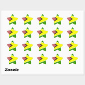 Guyana Flag Ster Sticker (Vel)