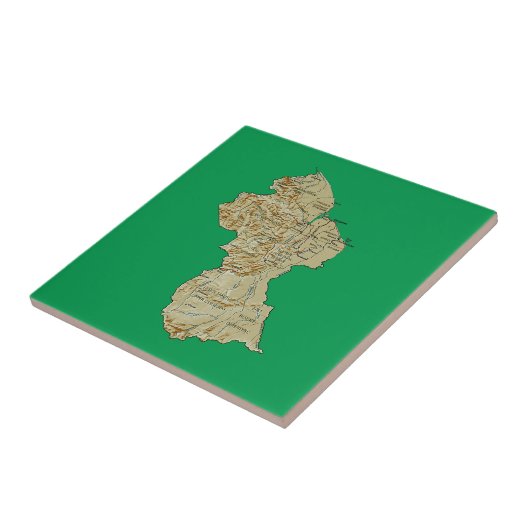 Guyana Map Tile Tegeltje (Zijkant)