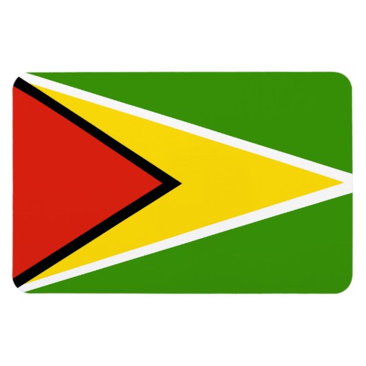Guyana vlag magneet (Horizontaal)