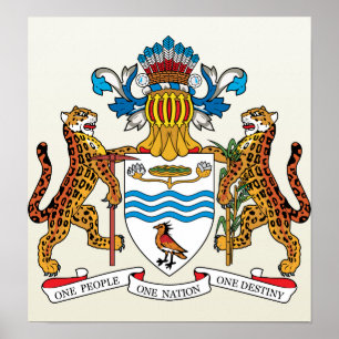 Guyana wapenstilstand poster