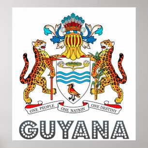 Guyana wapenstilstand poster