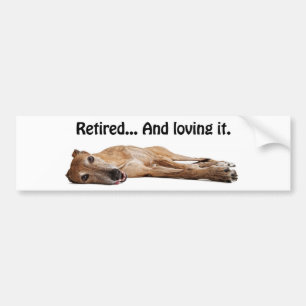 GVV Greyhound in ruste en liefhebbend Bumpersticker