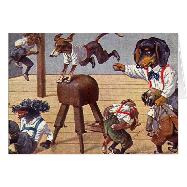 Gym-klasse voor honden (Voorkant Horizontaal)