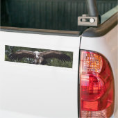Gyps fulvus bumpersticker (Op Truck)