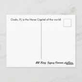 Gypsy Gold Gypsy Vanner briefkaart BB King (Achterkant)