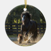 Gypsy Gold Gypsy Vanner Ornament (Voorkant)