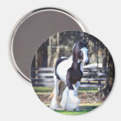 Gypsy Gold King aimant William (Recto/Verso)