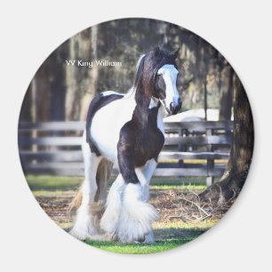 Gypsy Gold King William magneet