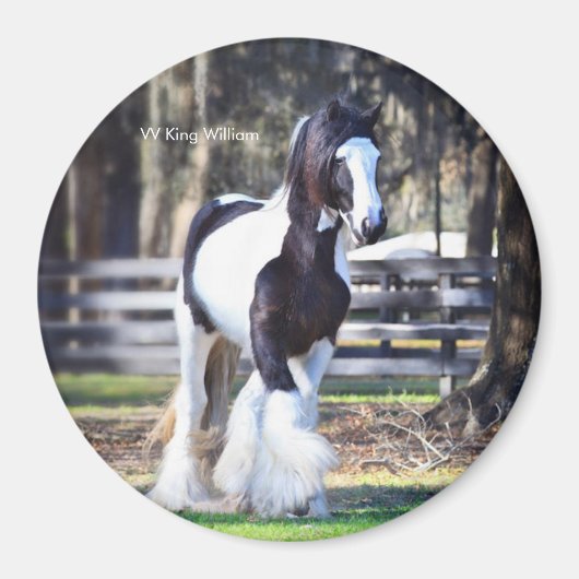 Gypsy Gold King William magneet (Voorkant)