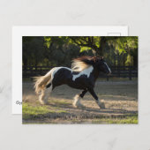 Gypsy Gold proveb briefkaart (Voorkant / Achterkant)