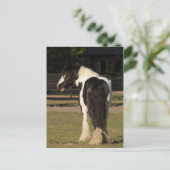 Gypsy Gypsy Vanner Le Walker Horse carte postale (Debout devant)