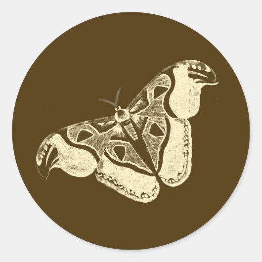 Gypsy mot, chocoladebruin en beige ronde sticker (Voorkant)