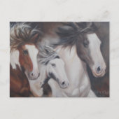 Gypsy run briefkaart (Voorkant)