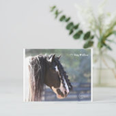 Gypsy Vanner Briefkaart (Staand voorkant)