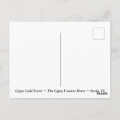 Gypsy Vanner Briefkaart (Achterkant)