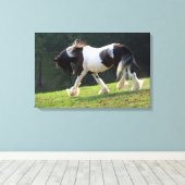 Gypsy Vanner Canvas Afdruk (Insitu (Houten vloer))