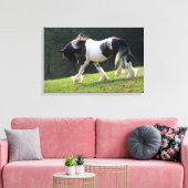 Gypsy Vanner Canvas Afdruk (Insitu (Woonkamer))