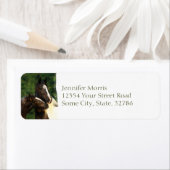 Gypsy Vanner Etiket (Insitu)