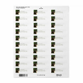 Gypsy Vanner Etiket (Full Sheet)