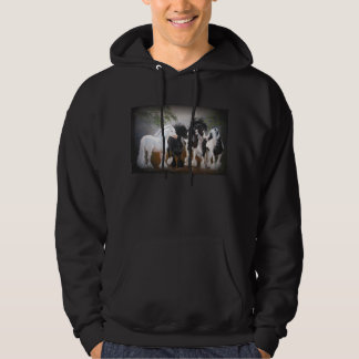 Gypsy Vanner Hooded Sweatshirt