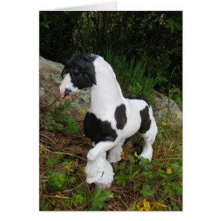 Gypsy Vanner Horse