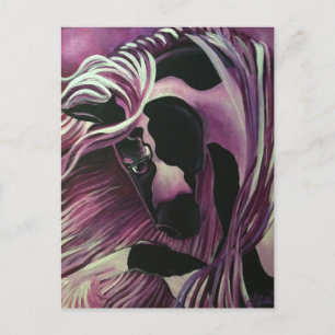 GYPSY VANNER HORSE BRIEFKAART