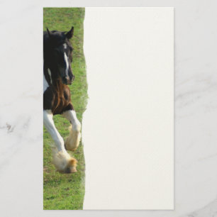 Gypsy Vanner Horse Briefpapier